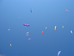 Nuée de parapentes 01